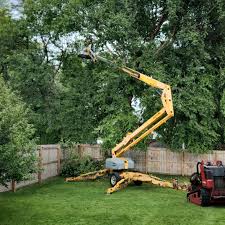Best Lawn Mowing  in Kerhonkson, NY